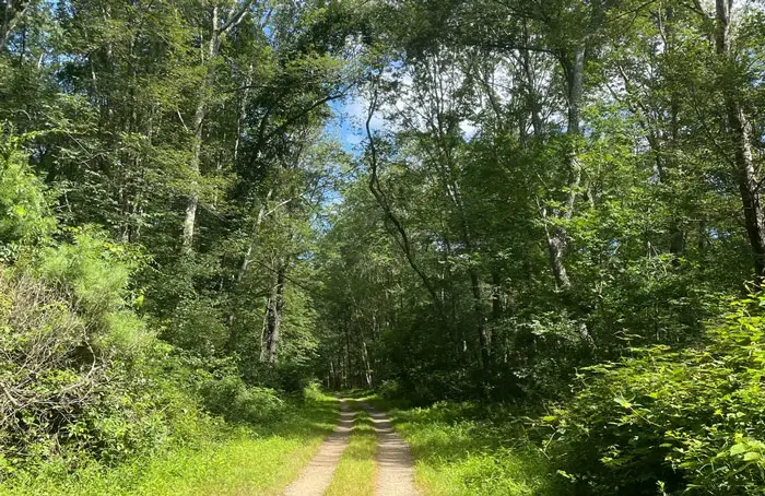 airline trail for adventurous journey the award project imo green walking trail