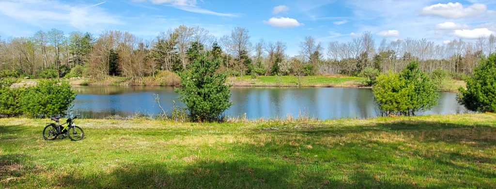 a wide shot of the nature preserve