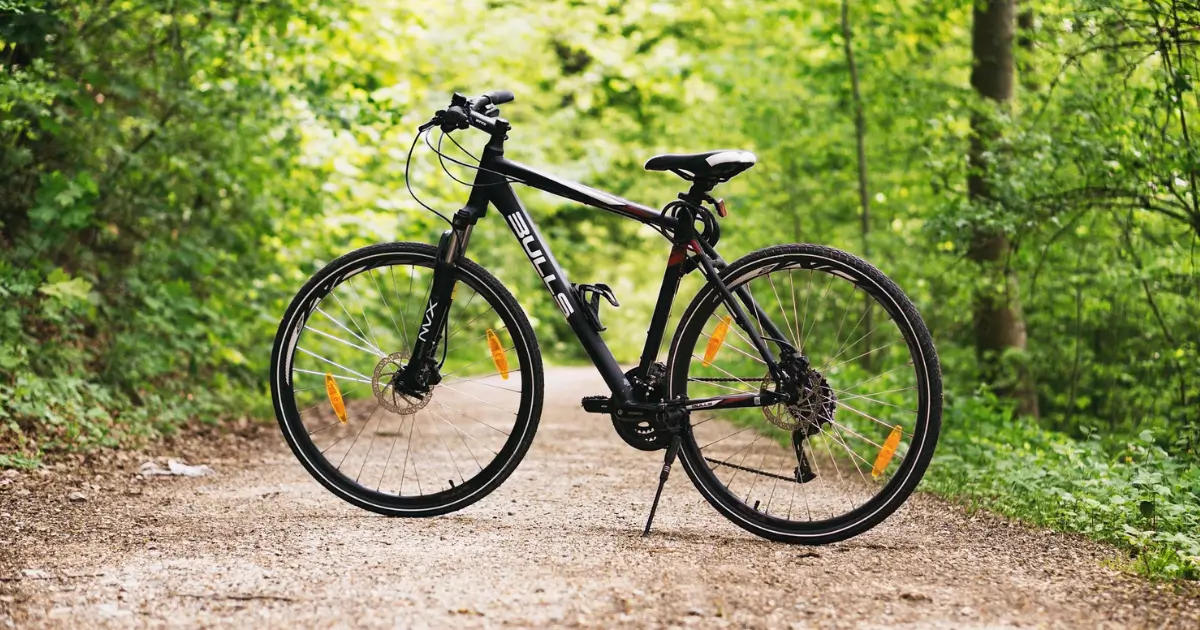 A single bike sitting on a foot stand in the middle of a trail Birding on Bicycles