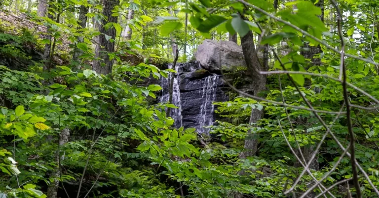Tower Hill Hike A Joshua's Trust Partnership Event at the preserve you can see a very subtle rock face with water falling down it